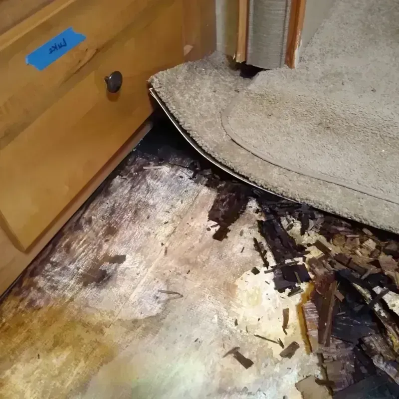 Wood Floor Water Damage in Magnolia, NJ